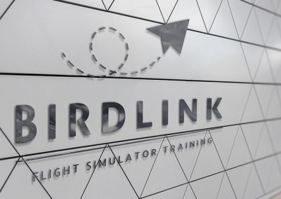 birdlink logo design