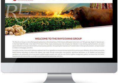 screen web design re group