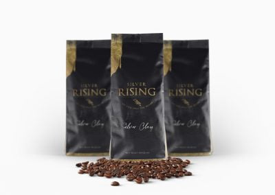 graphic design package silver rising branding 1